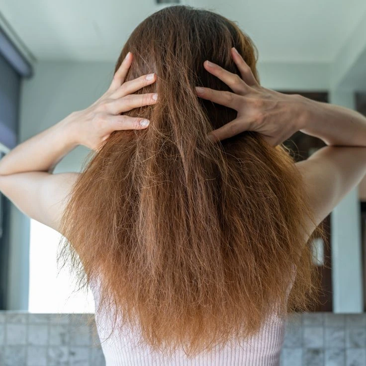Tratamiento para cabello procesado o maltratado